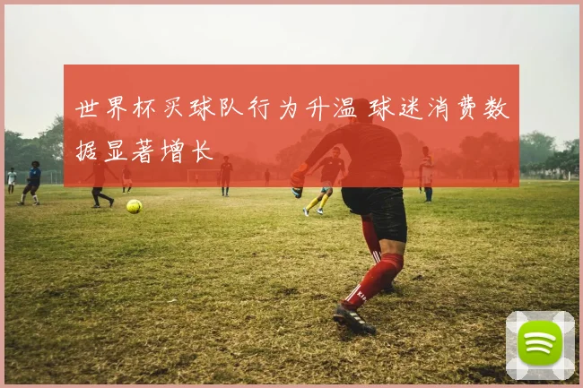 世界杯买球队行为升温 球迷消费数据显著增长
