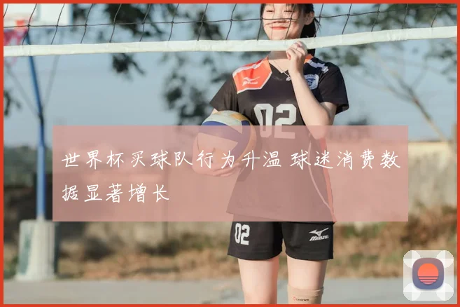 世界杯买球队行为升温 球迷消费数据显著增长