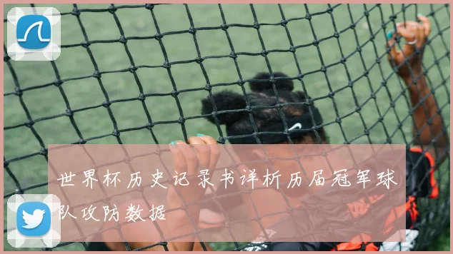 世界杯历史记录书详析历届冠军球队攻防数据