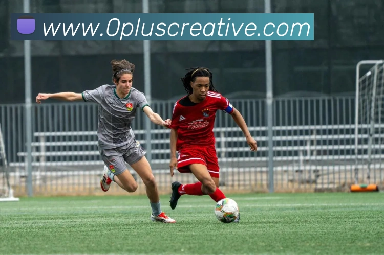 数据防护可视化